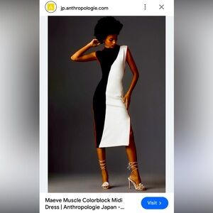 Anthropologie Dress fitted midi length XS petite NWT